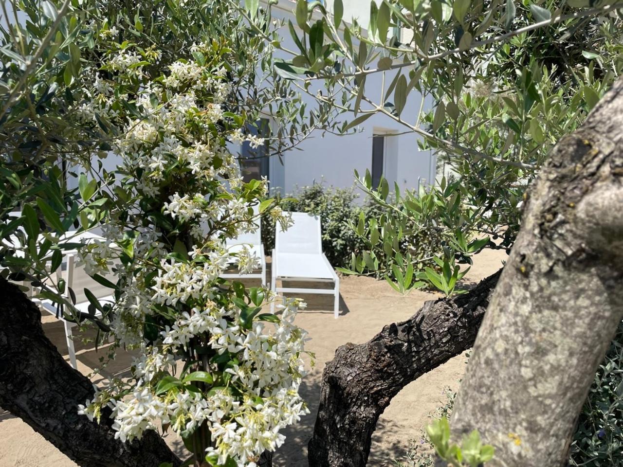 Villa Le Agavi Luxory Beach Surfhouse Μπελάρια-Ιτζέα Μαρίνα Εξωτερικό φωτογραφία